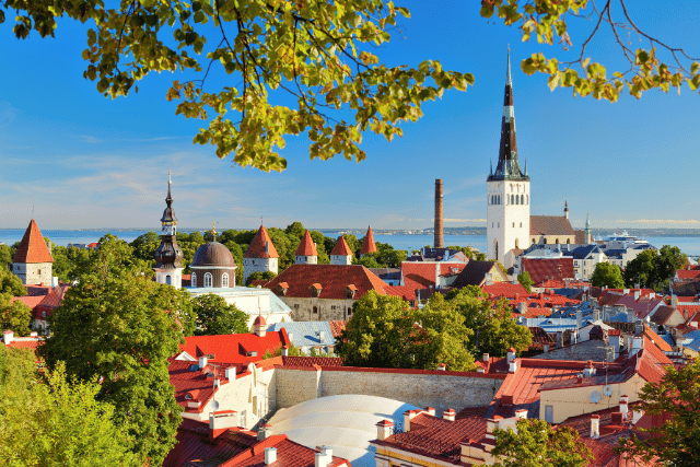 Azienda-in-Estonia