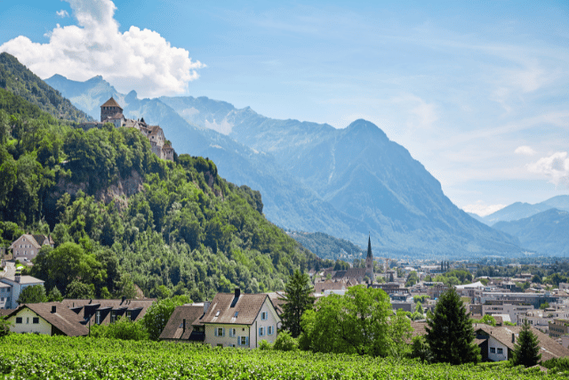 Azienda-in-Liechtenstein
